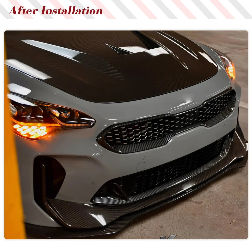 Dry Carbon Front Kidney Bumper Grille / Front Frame Centre Mesh Grille