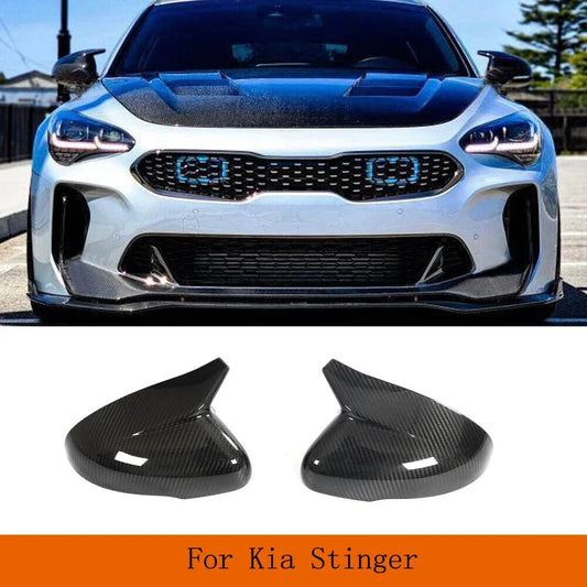 Real Carbon Side Wing Mirror Cover