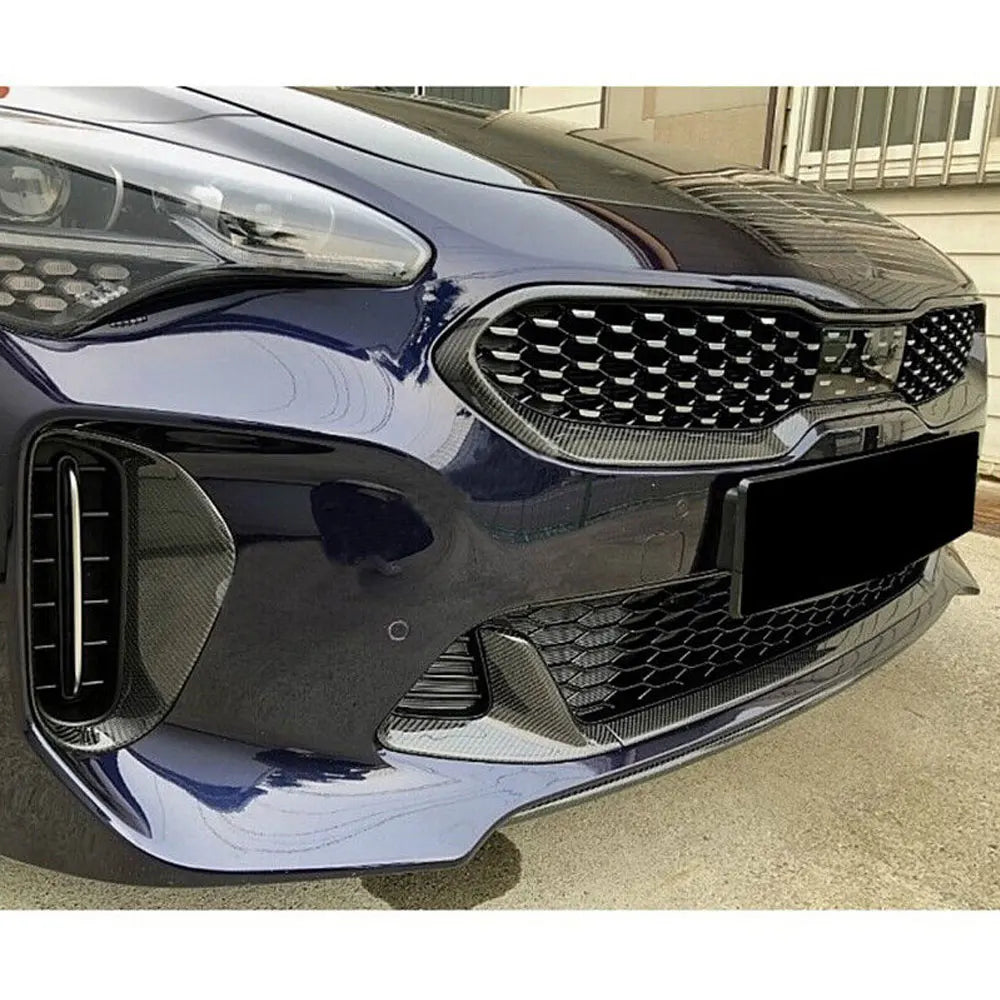 Dry Carbon Front Kidney Bumper Grille / Front Frame Centre Mesh Grille