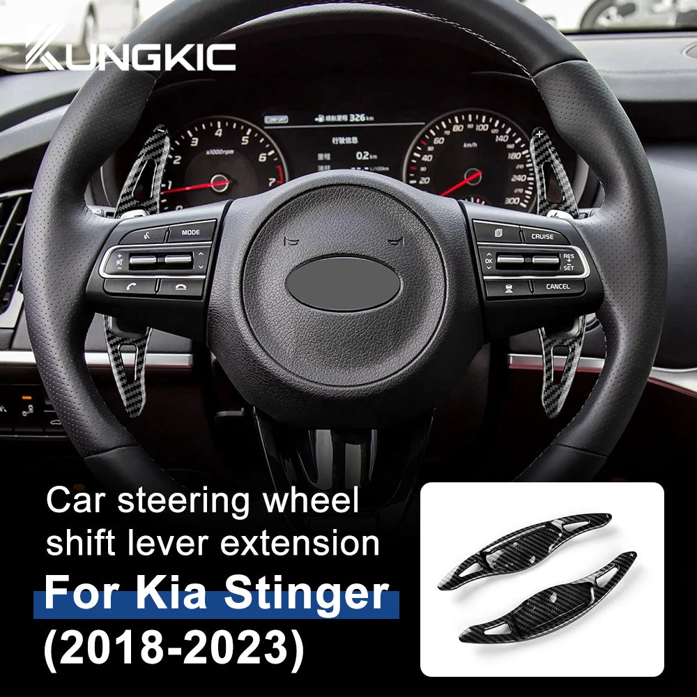 Paddle Shift Extension