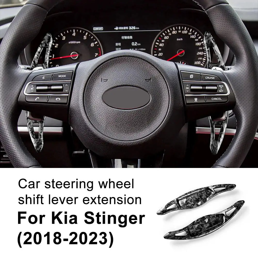 Paddle Shift Extension