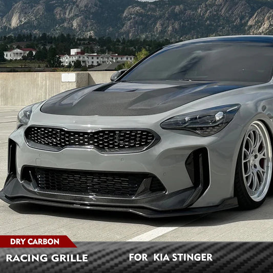 Dry Carbon Front Kidney Bumper Grille / Front Frame Centre Mesh Grille