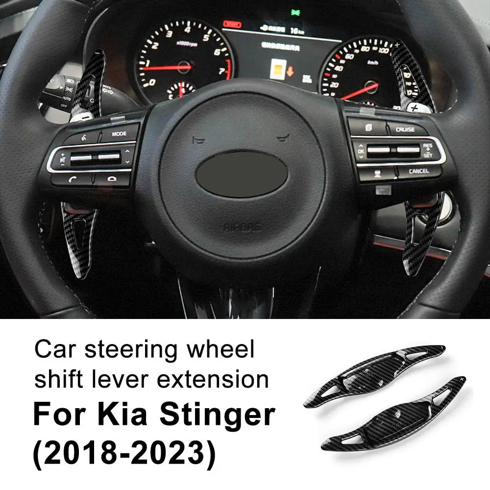 Paddle Shift Extension